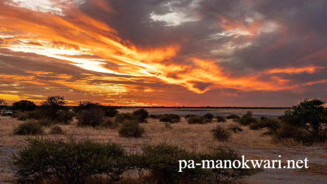 Pesona Eksotis Gurun Kalahari Botswana